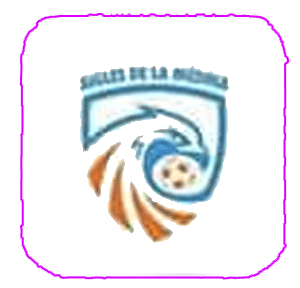 club logo